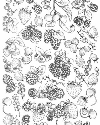 Décalcomanie CL28 Petits Fruits