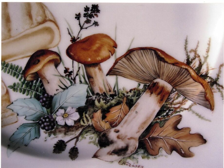 Décalcomanie CL53 Champignons
