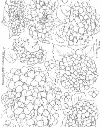 Décalcomanie TL127 Hortensias