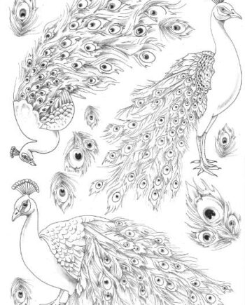 Décalcomanie TL133 Paons