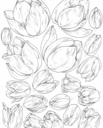 Décalcomanie TL136 Tulipes