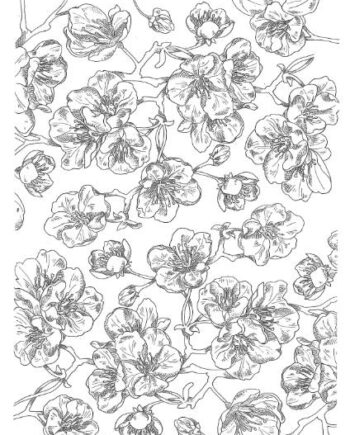 Décalcomanie TL137 Fleurs de prunus