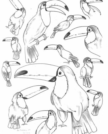 Décalcomanie TL138 Toucans