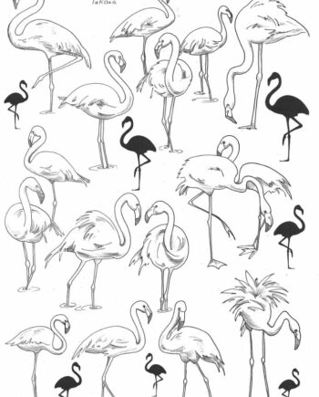 Décalcomanie TL139 Les flamands roses