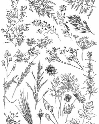 Décalcomanie TL154 Herbes Hautes