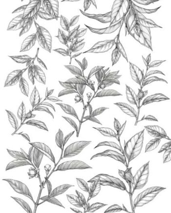 Décalcomanie TL172 Feuilles de thé