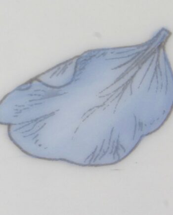 Bleu ciel - Sky blue