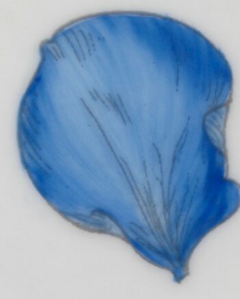 Bleu clair - Light blue