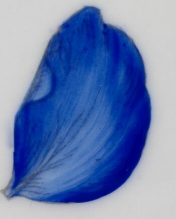 Bleu riche - Rich blue