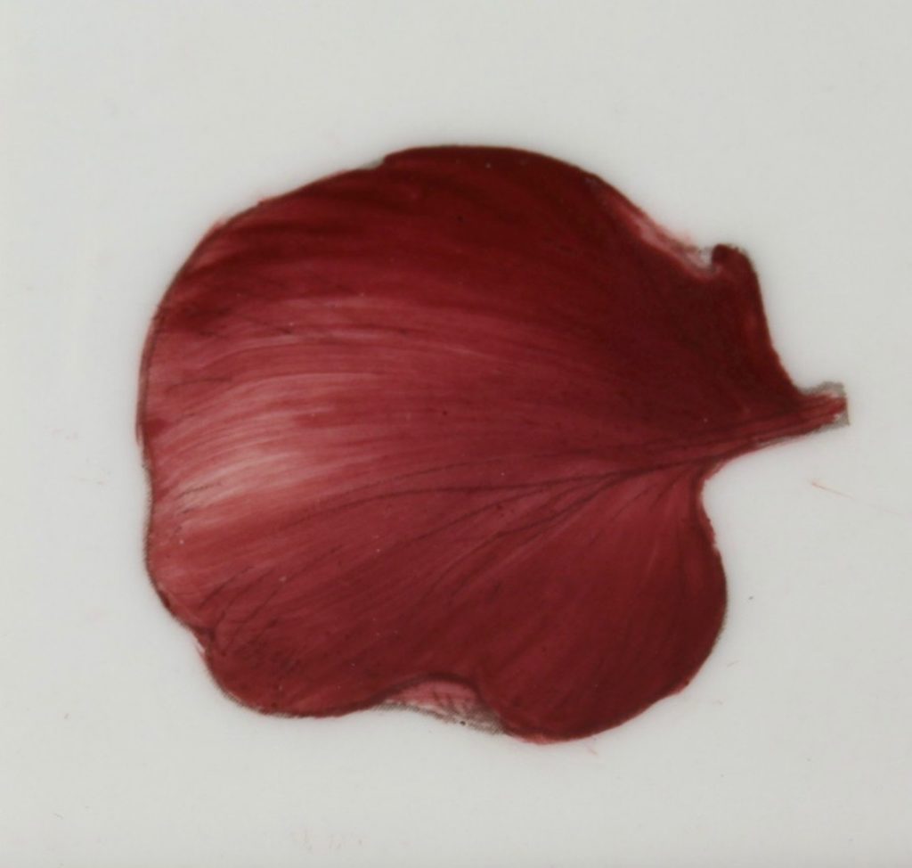 Bordeaux - Burgundy