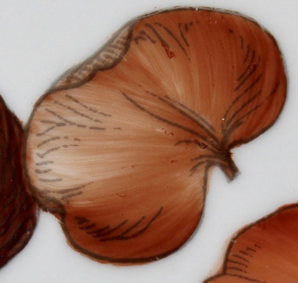 Brun praline - Praline brown