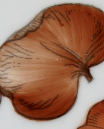 Brun praline - Praline brown