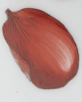 Brun rouge foncé - Dark red brown