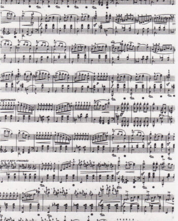 Décalcomanie CL17 Notes de musique