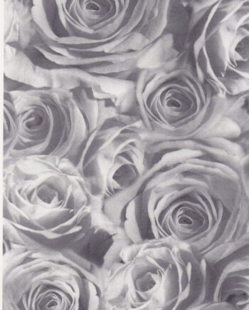 Décalcomanie CL18 Roses