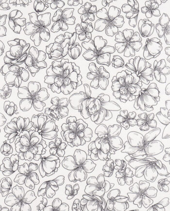 Décalcomanie CL59 Fleurs de cerisier
