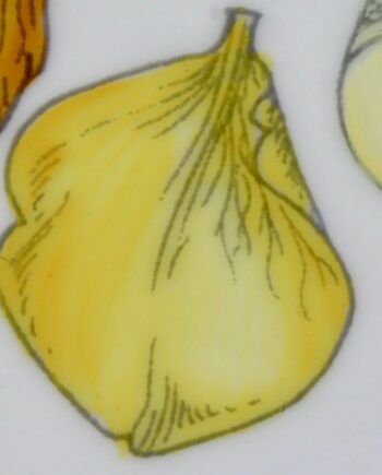 Jaune d'oeuf - Egg yellow