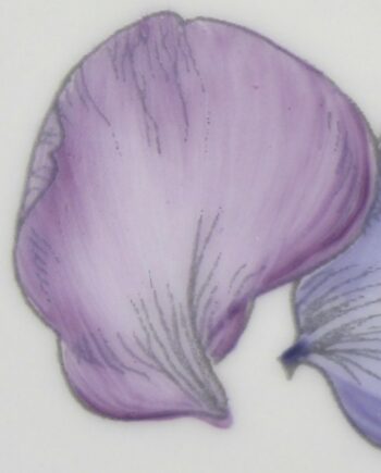 Lilas -Lilac