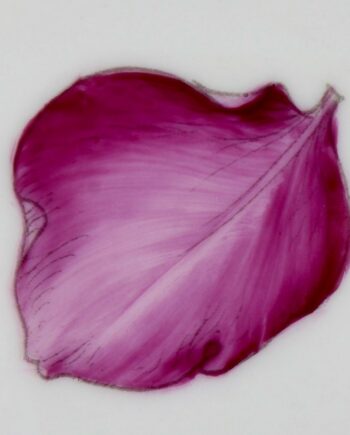 Pourpre grenat - Garnet purple