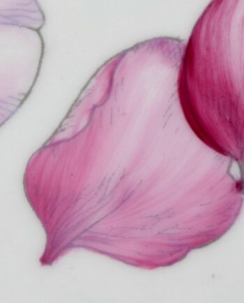 Rose pompadour - Pompadour pink