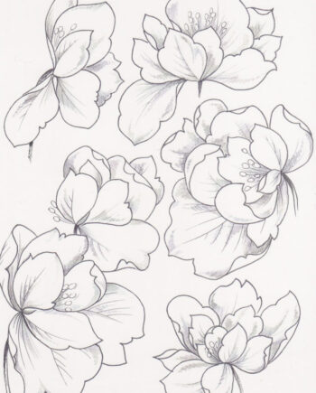 Décalcomanie TL107 Fleurs stylisées