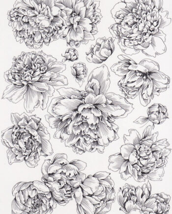 Décalcomanie TL109a Pivoines