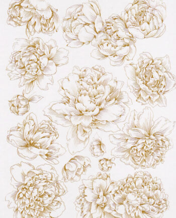 Décalcomanie TL109b Pivoines