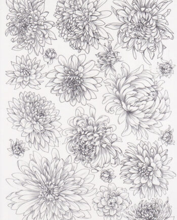 Décalcomanie TL167 Chrysanthèmes