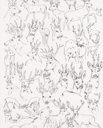 Décalcomanie TL176 Biche et cerf