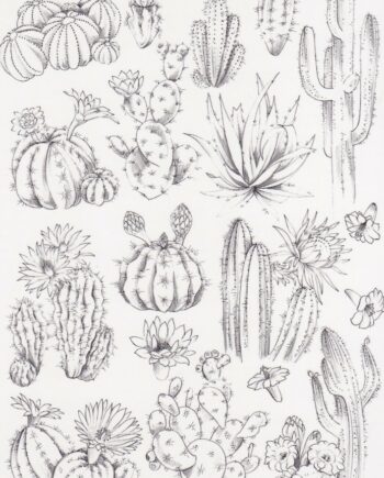 Décalcomanie TL183 Cactus