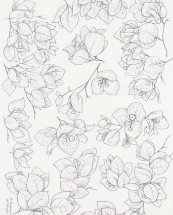 Décalcomanie TL191 Bougainvilliers