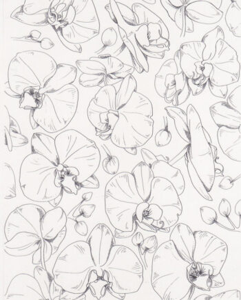Décalcomanie TL67 Orchidées
