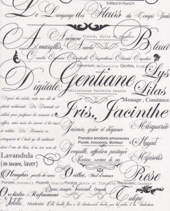 Décalcomanie TL84 Ecriture