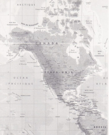 Décalcomanie TL85