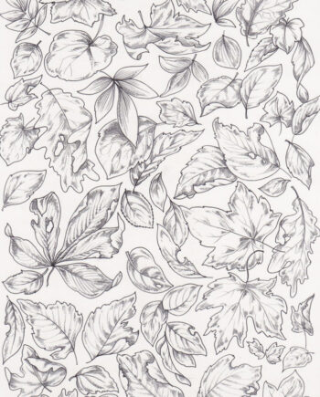 Décalcomanie TL89 Feuilles