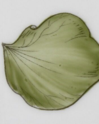 Vert kaki - Khaki green