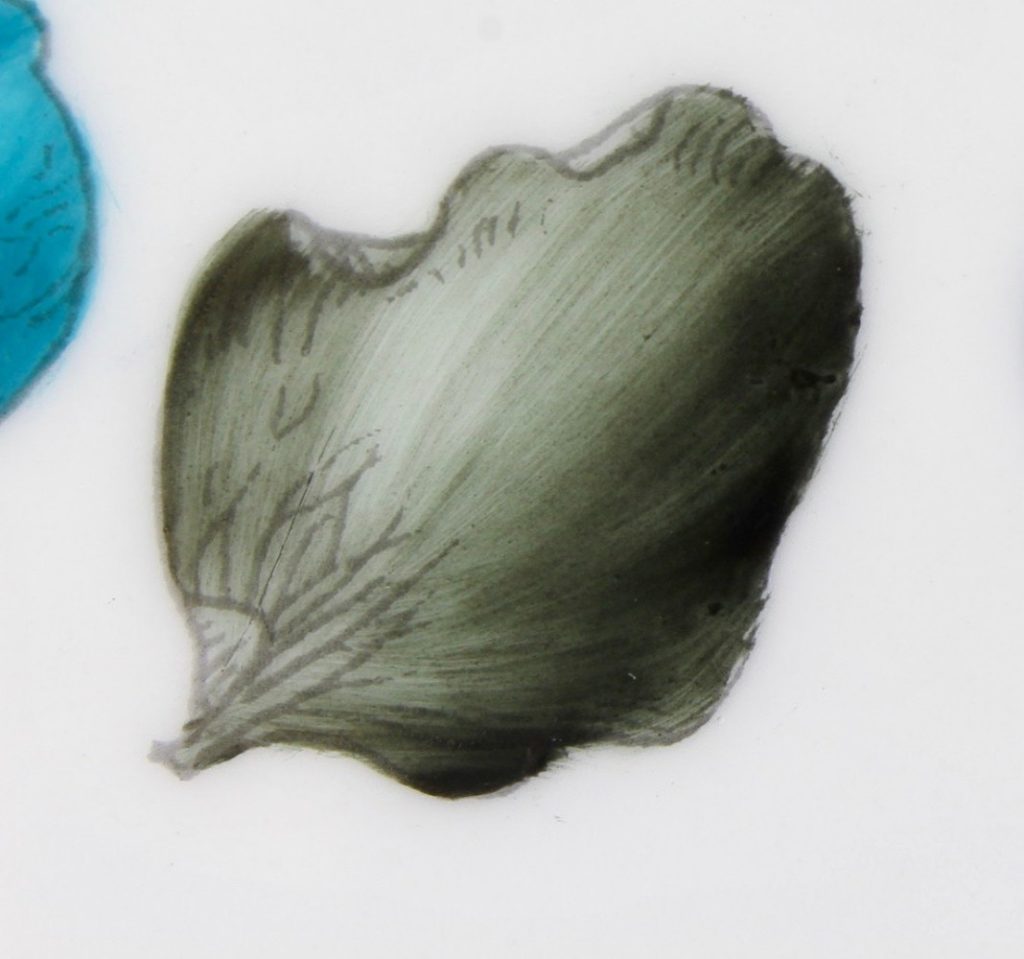 Vert noir - Black green