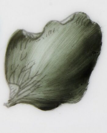 Vert noir - Black green