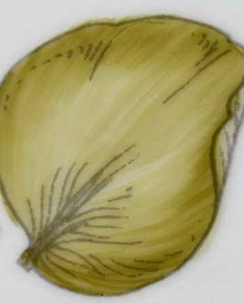 Vert olive jaune - Yellow olive green