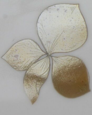 Lustre Brun Rembrandt - Rembrandt brown