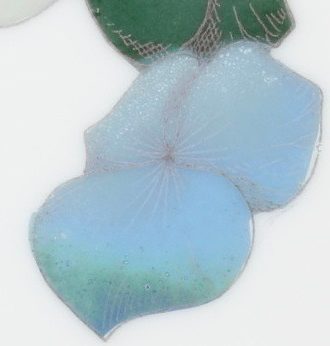 Lustre Turquoise