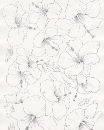 Décalcomanie TL192 Hibiscus