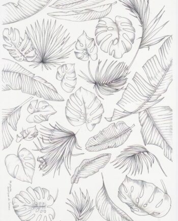 Décalcomanie TL195 Feuilles exotiques