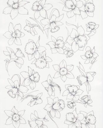 Décalcomanie TL196 Jonquilles