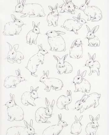 Décalcomanie TL198 Lapins