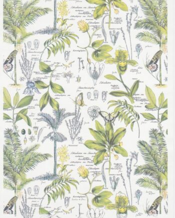 Décalcomanie TL200 Herbier