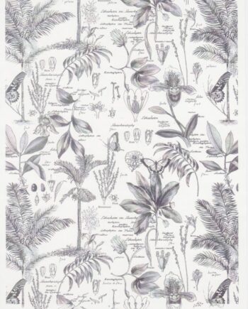 Décalcomanie TL200 Herbier