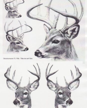 Décalcomanie TL176b Tête de cerf