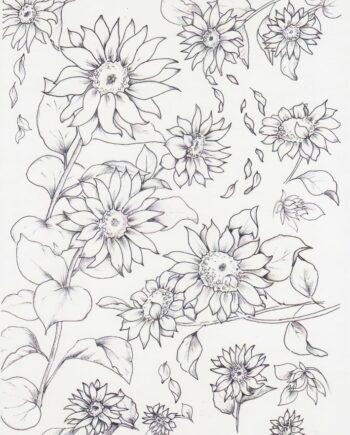 Décalcomanie TL203 Tournesols