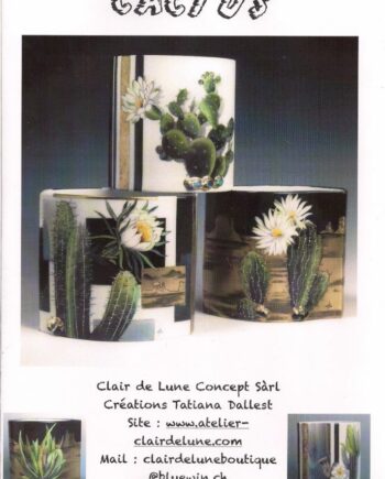 Cahier N°86 Cactus